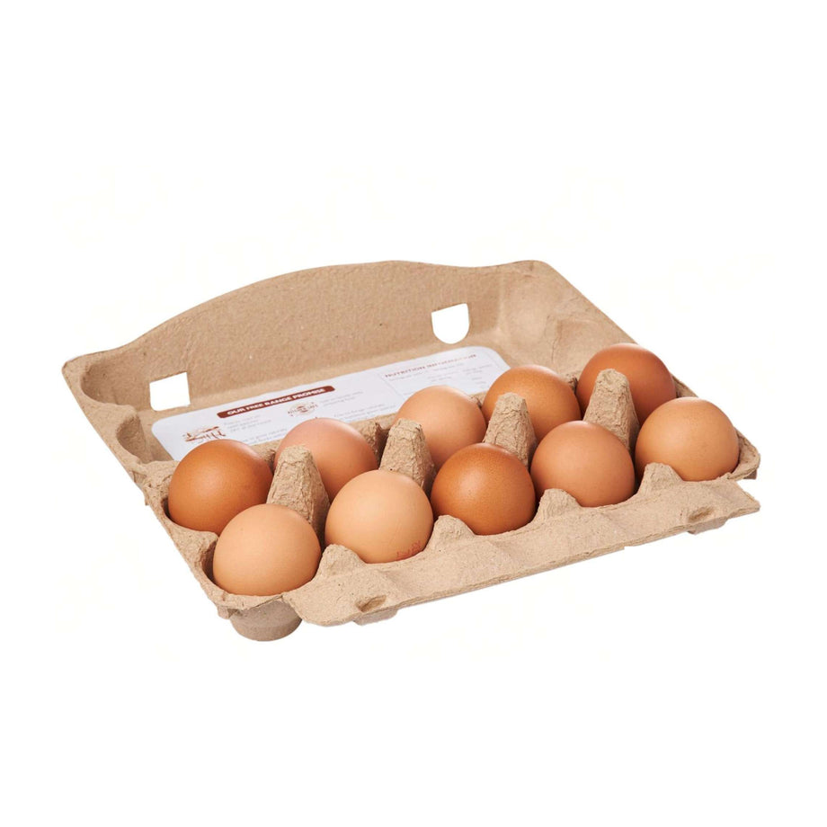 Frenz Free Range Certified Eggs Size 7, 10's