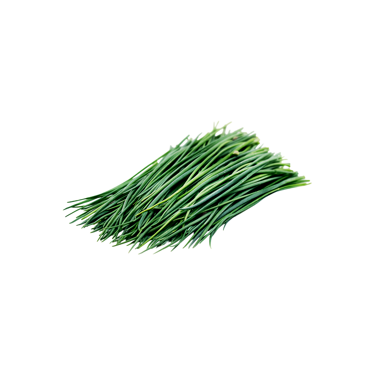 Chives in Clam Pack, 20gm