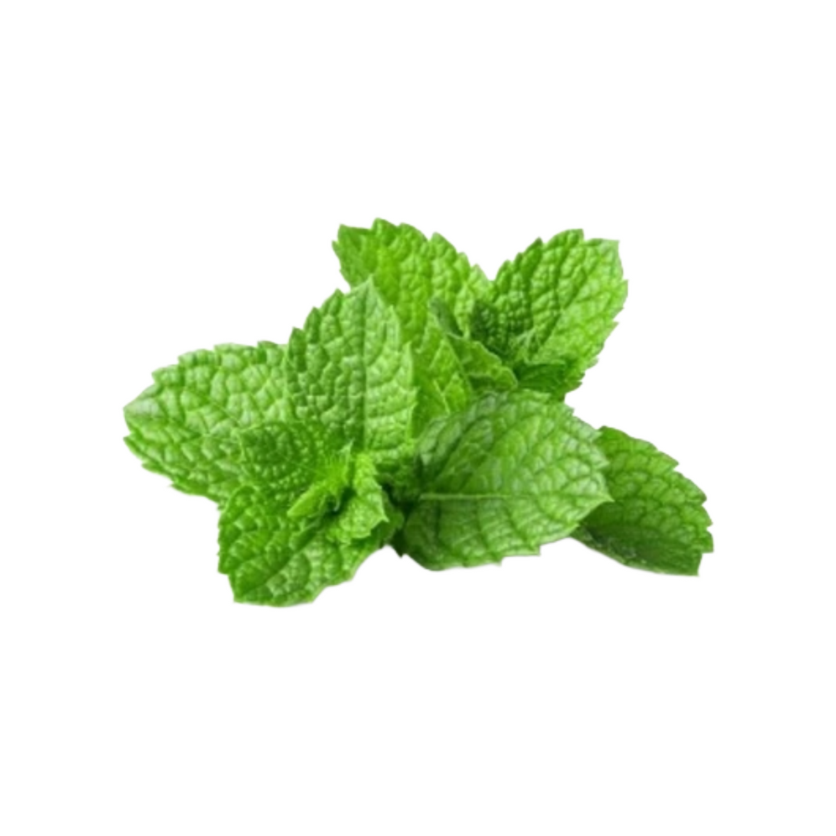 Mint in Clam Pack, 20gm